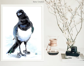 Puede incluir: Una pintura de acuarela de un pájaro urraca negro y blanco con una cola azul y verde. El pájaro está de pie sobre un fondo blanco.