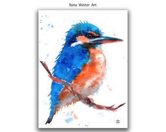 Original Watercolor Painting Kingfisher Bird by Ilona Winter