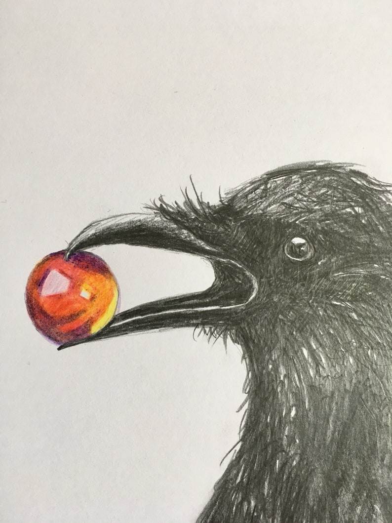 Original A4 Pencil Sketch Drawing Black Raven Crow Bird Black | Etsy