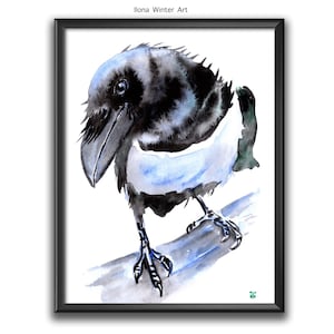 May include: Watercolor painting of a black and white crow perched on a branch. The crow has a blue and white chest and a black head and wings. The painting is framed in black.