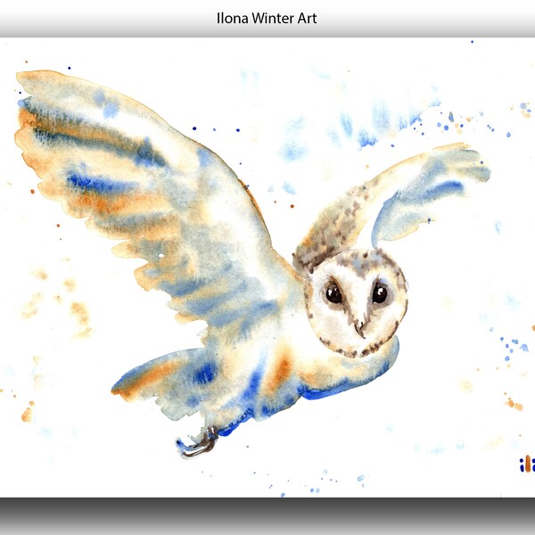 Original Watercolor Painting Flying Barn Owl by Ilona Winter