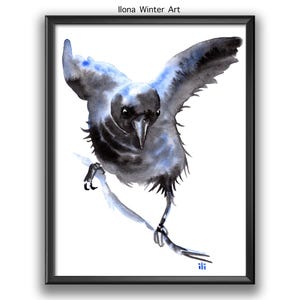 Personalised Crow &quot;Finding Balance&quot; Watercolour Painting Print from Original by Ilona Winter
