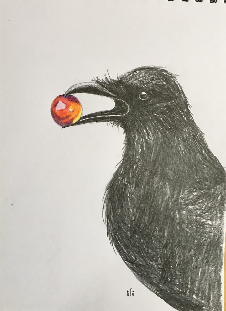 Original A4 Pencil Sketch Drawing Black Raven Crow Bird Black | Etsy