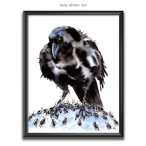 Personalised Crow Watercolour Painting Print &quot;Anting&quot; by Ilona Winter