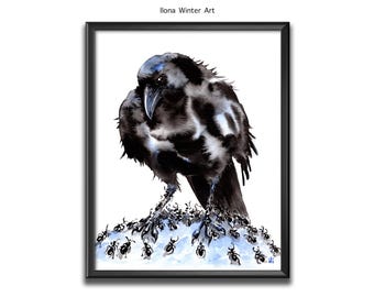 Personalised Crow Watercolour Painting Print "Anting" by Ilona Winter