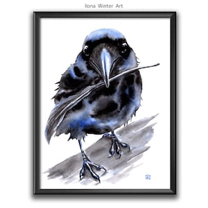 Personalised Crow with Feather Watercolour Painting &quot;Live to Tell&quot; Print by Ilona Winter