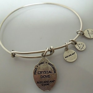 s217 Alex And Ani 2016 Charm Bangle Bracelet