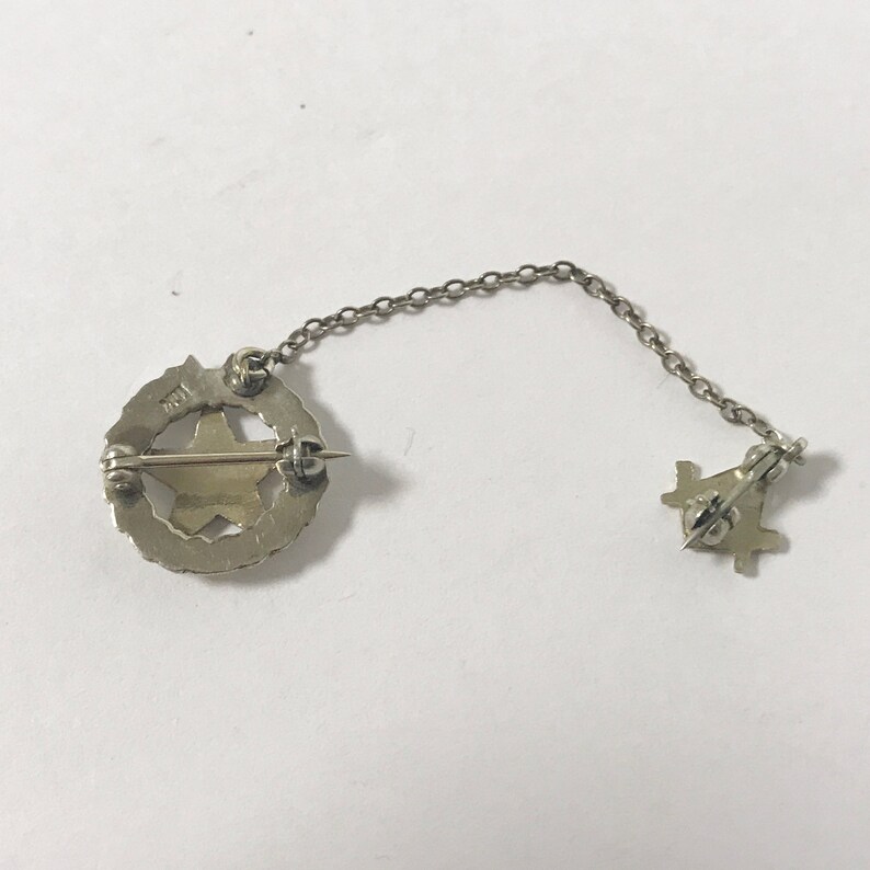 e463 Vintage Enameled 10k White Gold Filled Eastern Star Masonic Lapel Pin Brooch