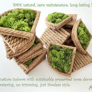 May include: A collection of triangular-shaped wall decor pieces featuring a textured, rope-like brown frame filled with bright green preserved moss. The text reads: 100% natural, zero maintenance, long-lasting beauty. Bring nature indoors with sustainable preserved moss d&eacute;cor &ndash; no watering, no trimming, just timeless style. Arcina.