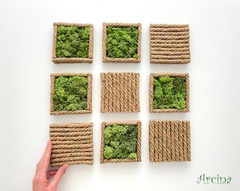 Personalized Moss Wall Art: Custom Name Sign, Eco-Friendly Decor