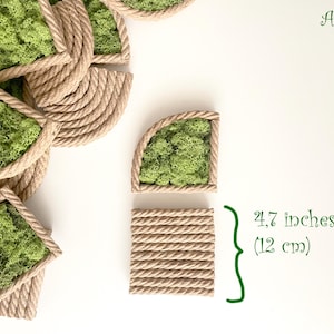 May include: A collection of quarter-circle wall decor pieces featuring bright green preserved moss framed by natural tan twisted rope. Each piece measures 4.7 inches in height. The brand name Arcina is printed in green text in the corner.