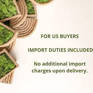May include: A collection of square and semi-circular frames wrapped in natural tan rope, each filled with vibrant green preserved moss. The image includes the text: FOR US BUYERS IMPORT DUTIES INCLUDED No additional import charges upon delivery.