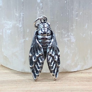 Sterling Silver Cicada Charm, Cicada Charm, Cicada Pendant, Sterling Silver Charms, Sterling Silver Pendants