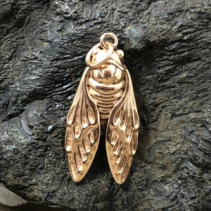 Bronze Cicada Charm, Cicada Charm, Cicada Pendant, Natural Bronze Charms, Natural Bronze Pendants