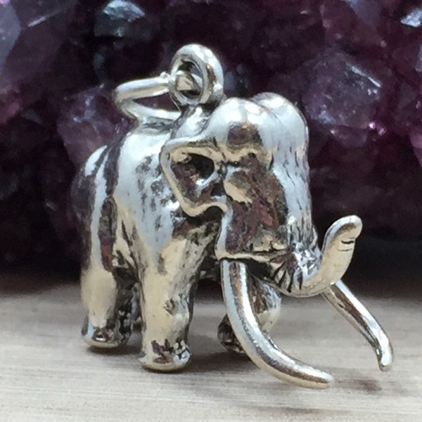 Wooly Mammoth Charm, Dinosaur Charm, Paleontologist Charm, Sterling Silver Dinosaur Charm, Animal Lover, PS0699