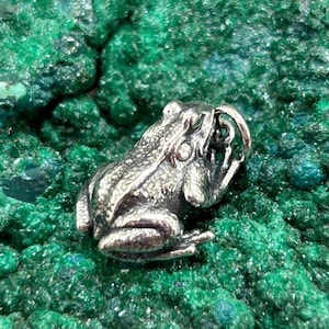 May include: A detailed, silver-colored frog pendant with a ring bail, set against a textured, vibrant green background. The frog is in a seated position, with visible detailing on its skin. The background has a mineral-like appearance.