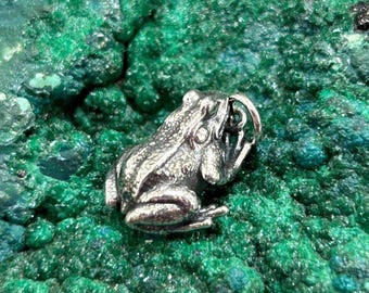 May include: A detailed, silver-colored frog pendant with a ring bail, set against a textured, vibrant green background. The frog is in a seated position, with visible detailing on its skin. The background has a mineral-like appearance.