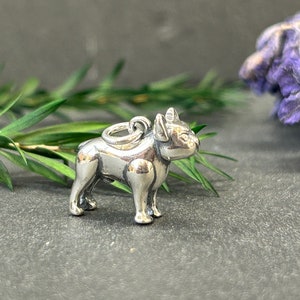 Bulldog charm james avery deals
