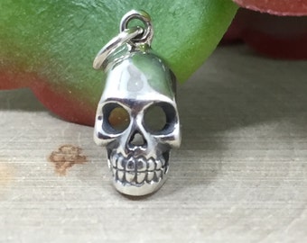 May include: A silver skull charm pendant. The skull is detailed with eye sockets, a nose, and a mouth with teeth.