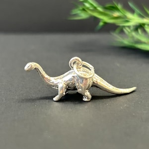 Puede incluir: Un charm de plata con forma de dinosaurio. El charm es detallado y tiene un bucle para sujetarlo a una pulsera o collar.