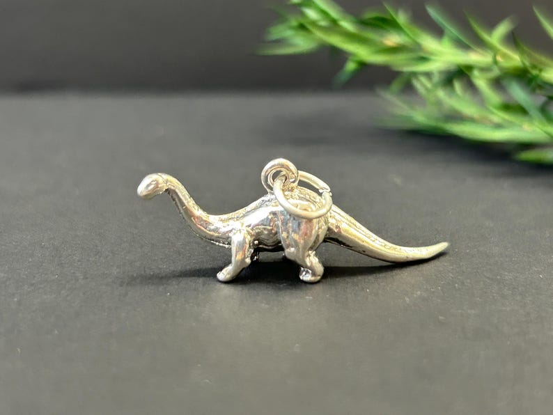 Puede incluir: Un charm de plata con forma de dinosaurio. El charm es detallado y tiene un bucle para sujetarlo a una pulsera o collar.