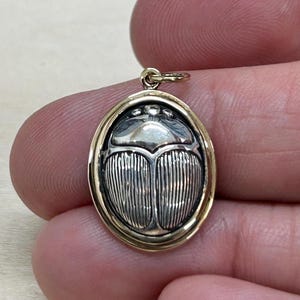 Sterling Silver Scarab Pendant Set in Bronze, Sterling Silver Scarab Beetle Charm, Bug Charm, Beetle Charm, Beetle Pendant, Insect Charm