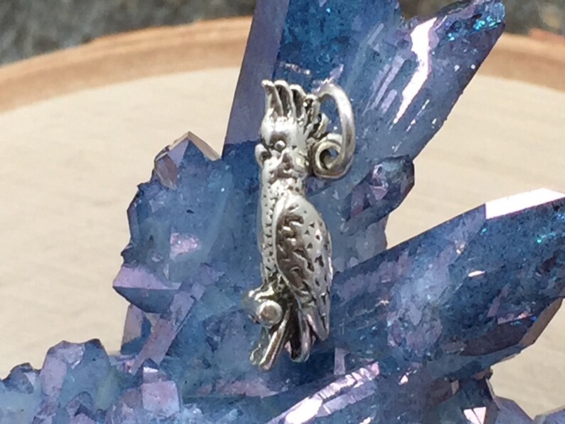 May include: A silver-colored charm in the shape of a cockatoo bird. The bird is perched on a branch and has detailed feather and head features. The charm is displayed against a background of blue crystals.