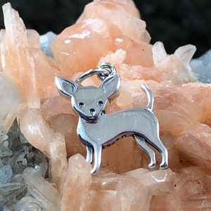 May include: A silver-colored Chihuahua charm with a loop for a necklace or bracelet. The charm is highly polished and detailed, showing the dog's features. The background is a light orange and white crystal formation.