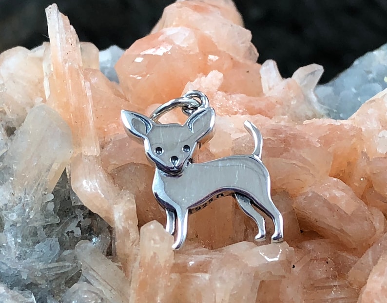May include: A silver-colored Chihuahua charm with a loop for a necklace or bracelet. The charm is highly polished and detailed, showing the dog's features. The background is a light orange and white crystal formation.
