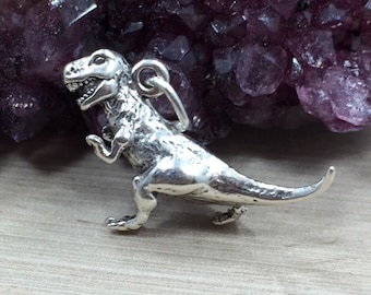 May include: A silver-toned Tyrannosaurus Rex dinosaur charm pendant. The charm is detailed and has a textured surface.