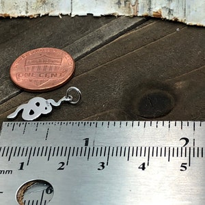 May include: A silver snake charm pendant measuring approximately 1 inch in length. The charm is shown next to a ruler for size comparison.