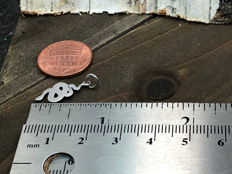 May include: A silver snake charm pendant measuring approximately 1 inch in length. The charm is shown next to a ruler for size comparison.