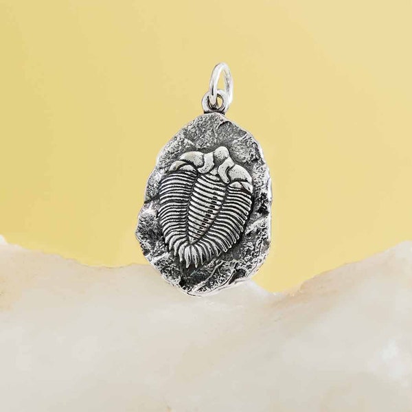 Sterling Silver Trilobite Fossil Pendant, Shell Charm, Shell Pendant, Fossil Charm, Sterling Silver Charm, Arthropod Charm