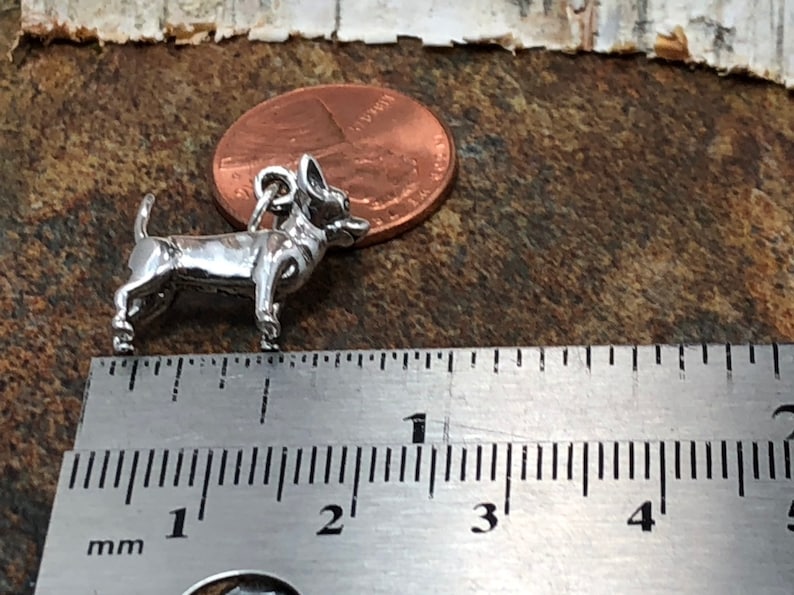 Op de afbeelding: Een kleine, zilverkleurige Chihuahua-hondenbedel. De bedel is gedetailleerd met zichtbare poten, oren en staart. Een cent is naast de bedel voor maatvergelijking. De bedel is ongeveer 2,5 cm lang.