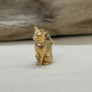 Bronze 3D Cat Pendant, Cat Charm, Kitten Charm, Kitty Charm, Cat Charm, Bronze Cat Charm, Animal Lover Charm, Animal Charm image 3