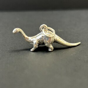Puede incluir: Un charm de plata con forma de dinosaurio. El dinosaurio est&aacute; de pie sobre sus cuatro patas con la cola extendida. El charm tiene un bucle en la parte superior para sujetarlo a una pulsera o collar.
