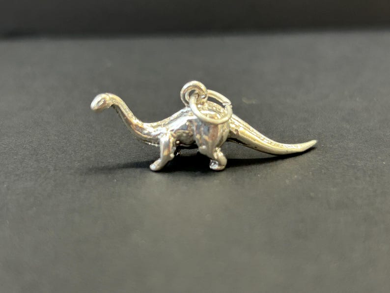 Puede incluir: Un charm de plata con forma de dinosaurio. El dinosaurio est&aacute; de pie sobre sus cuatro patas con la cola extendida. El charm tiene un bucle en la parte superior para sujetarlo a una pulsera o collar.