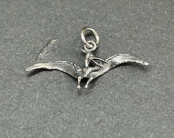 Amuleto de pterodáctilo, amuleto de pterodáctilo de plata de ley, amuleto de dinosaurio, amuleto de paleontólogo, amuleto de dinosaurio de plata de ley, amante de los animales