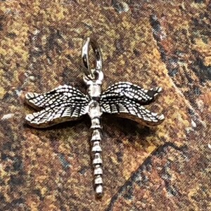 Dragonfly Charm, Sterling Silver Dragonfly Charm, Dragon Pendant, Sterling Silver Charm, Realistic Dragonfly Charm, SMALLER Size