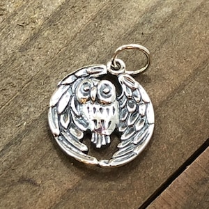 Owl Charm, Realistic Owl Charm, Sterling Silver Owl Charm, Owl Pendant, PS01217