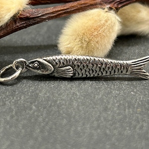 May include: A detailed silver fish charm with a textured scale pattern, fins, and a loop for attachment. The charm is set against a dark background with a sprig of pussy willow.
