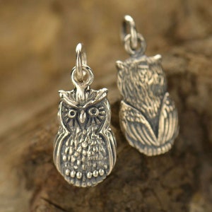 Owl Charm, Owl Pendant, Sterling Silver Owl Charm, Jewelry Findings, Jewelry Supplies, Sterling Silver Charms, Night Owl, PS01232