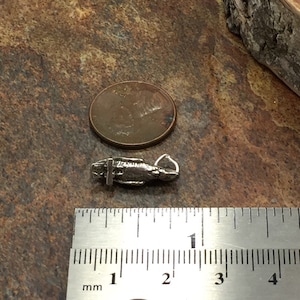 May include: A small, silver-toned charm in the shape of a fish, with a loop for attaching to a necklace or bracelet. The charm is next to a penny and a ruler, showing its small size. The charm is approximately 0.75 inches long.