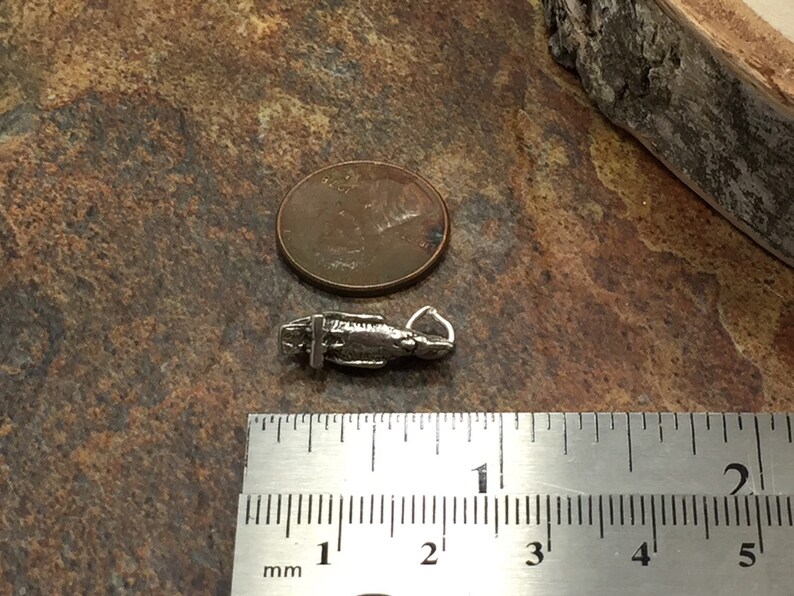 May include: A small, silver-toned charm in the shape of a fish, with a loop for attaching to a necklace or bracelet. The charm is next to a penny and a ruler, showing its small size. The charm is approximately 0.75 inches long.