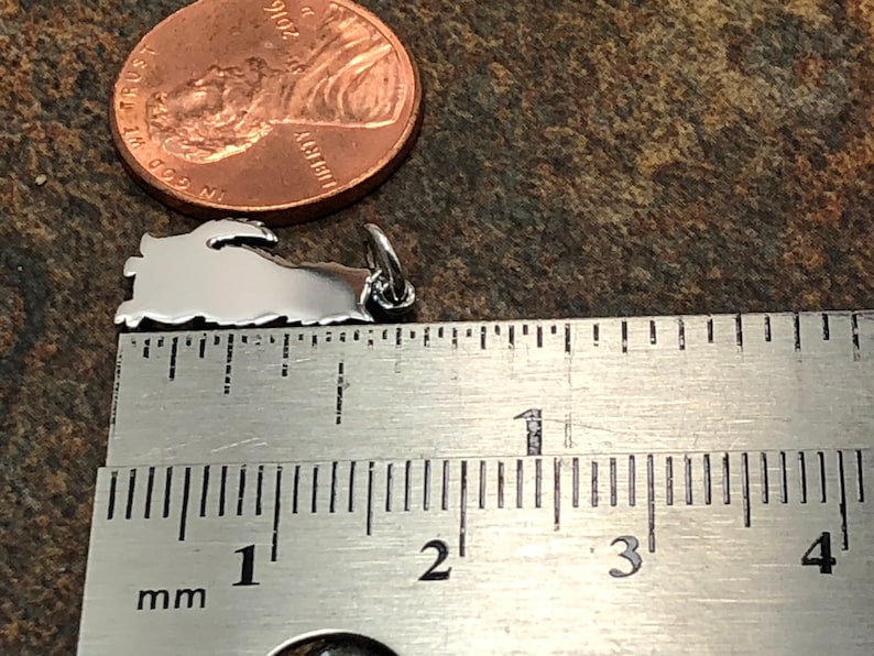 May include: A silver charm in the shape of the state of Long Island, New York, measured against a ruler. The charm is about 1 inch long.