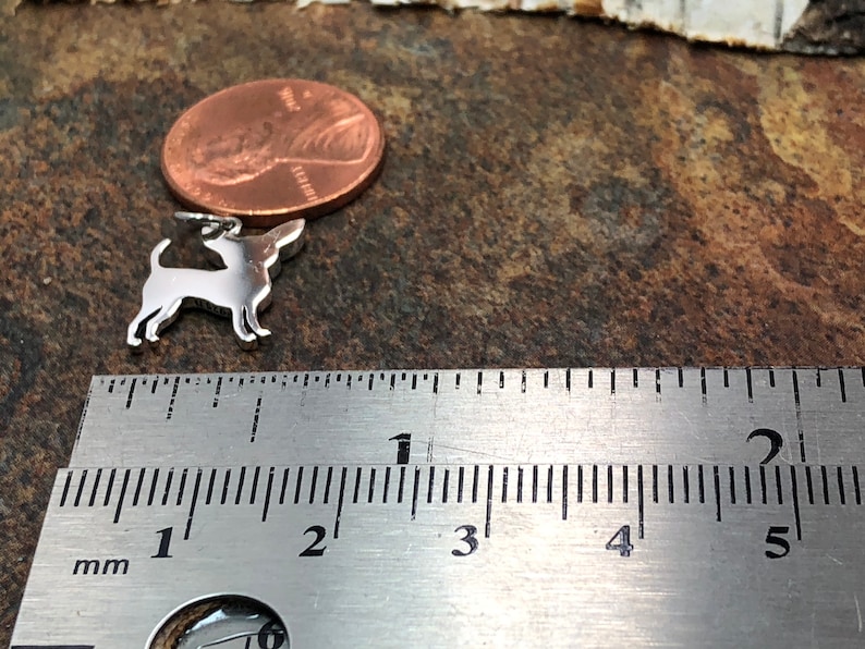 May include: A small, silver-colored pendant in the shape of a dog, likely a Chihuahua, next to a penny and a ruler. The pendant is approximately 1 inch long. The ruler shows measurements in inches. The background is a textured, brown surface.