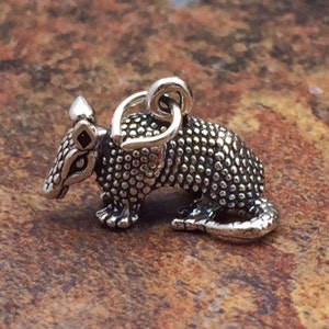 Armadillo Charm, Armadillo Pendant, Sterling Silver Charm, Sterling Silver Pendant, Texas Charm,  Animal Charm, Zoo Charm, PS0631