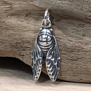 Sterling Silver Small Cicada Charm, Sterling Silver Cicada Charm, Cicada Charm, Cicada Pendant, Sterling Silver Charms, Small Size