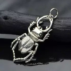 Beetle Charm, Bug Charm, Stag Beetle Charm, Insect Charm, Sterling Silver Charm, Silver Charm