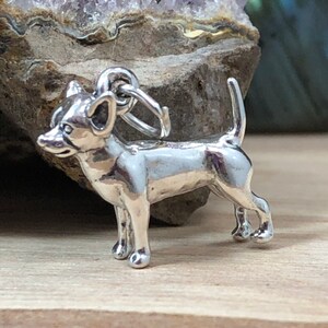Op de afbeelding: Een zilverkleurige Chihuahua hondenbedel met een lus om aan een ketting of armband te bevestigen. De hond staat met zijn staart omhoog en oren omhoog. De bedel is zeer gedetailleerd en heeft een gepolijste afwerking.